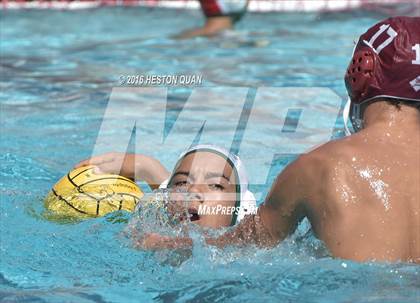 Thumbnail 2 in Poly @ Esperanza photogallery.