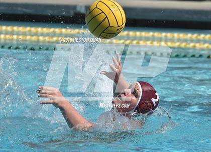 Thumbnail 3 in Poly @ Esperanza photogallery.