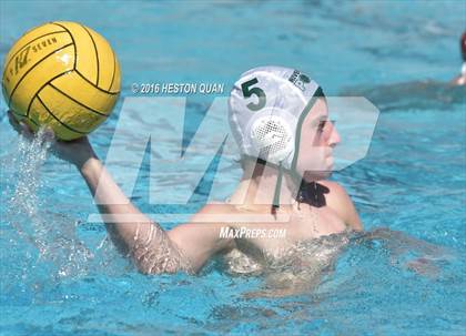 Thumbnail 3 in Poly @ Esperanza photogallery.