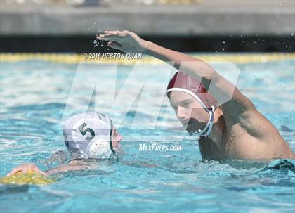 Thumbnail 2 in Poly @ Esperanza photogallery.
