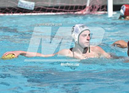 Thumbnail 3 in Poly @ Esperanza photogallery.
