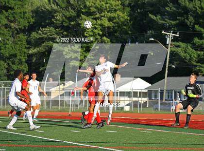 Thumbnail 1 in Glastonbury @ Conard photogallery.