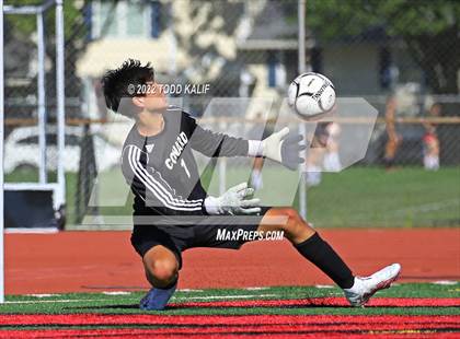 Thumbnail 2 in Glastonbury @ Conard photogallery.