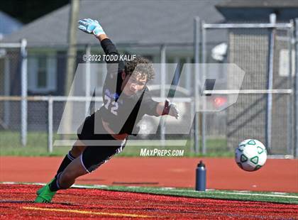 Thumbnail 2 in Glastonbury @ Conard photogallery.
