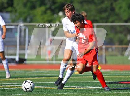 Thumbnail 1 in Glastonbury @ Conard photogallery.