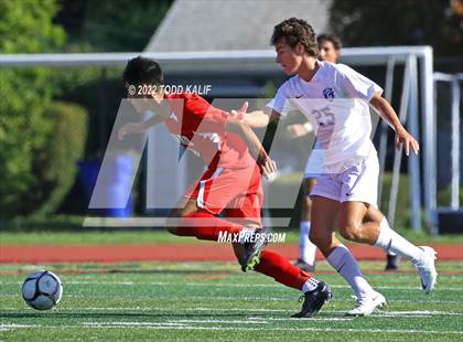 Thumbnail 3 in Glastonbury @ Conard photogallery.