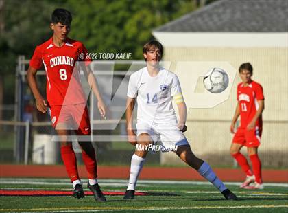Thumbnail 2 in Glastonbury @ Conard photogallery.