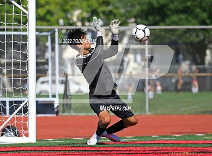 Thumbnail 1 in Glastonbury @ Conard photogallery.