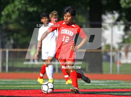 Thumbnail 2 in Glastonbury @ Conard photogallery.