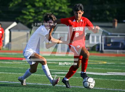 Thumbnail 3 in Glastonbury @ Conard photogallery.