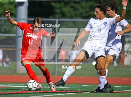 Thumbnail 2 in Glastonbury @ Conard photogallery.