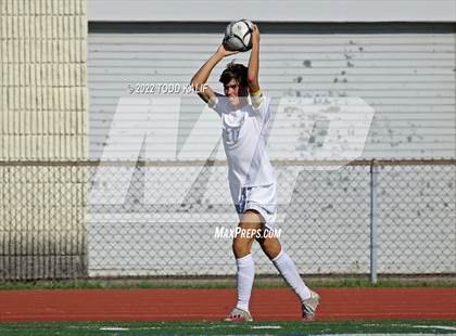 Thumbnail 1 in Glastonbury @ Conard photogallery.