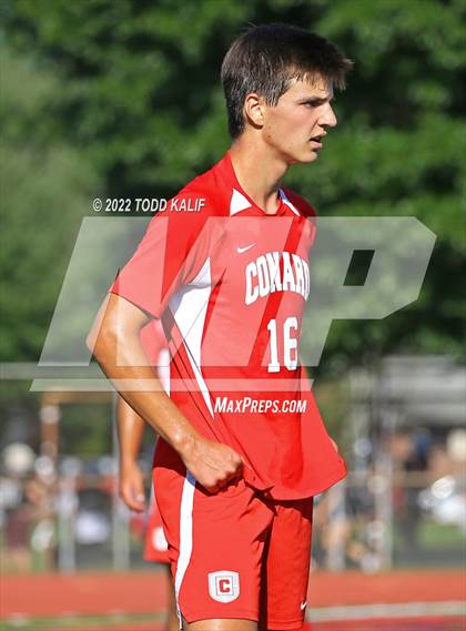 Thumbnail 1 in Glastonbury @ Conard photogallery.
