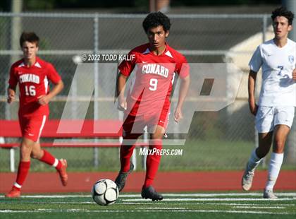 Thumbnail 1 in Glastonbury @ Conard photogallery.
