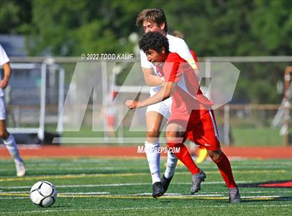 Thumbnail 2 in Glastonbury @ Conard photogallery.