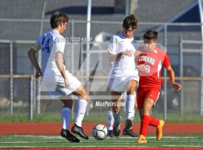 Thumbnail 1 in Glastonbury @ Conard photogallery.