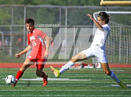 Thumbnail 2 in Glastonbury @ Conard photogallery.