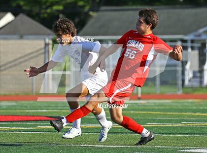 Thumbnail 2 in Glastonbury @ Conard photogallery.