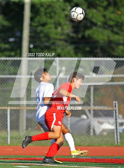 Thumbnail 2 in Glastonbury @ Conard photogallery.