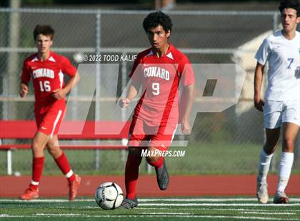 Thumbnail 3 in Glastonbury @ Conard photogallery.