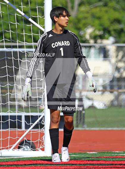 Thumbnail 3 in Glastonbury @ Conard photogallery.