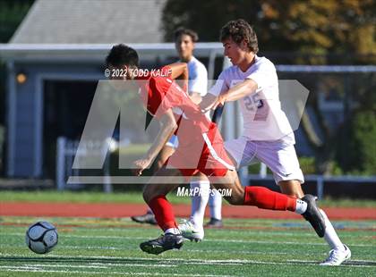 Thumbnail 2 in Glastonbury @ Conard photogallery.