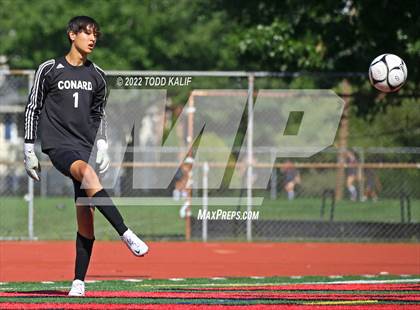 Thumbnail 1 in Glastonbury @ Conard photogallery.