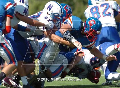 Thumbnail 1 in Nonnewaug @ Coginchaug Regional photogallery.