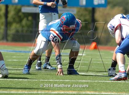 Thumbnail 1 in Nonnewaug @ Coginchaug Regional photogallery.