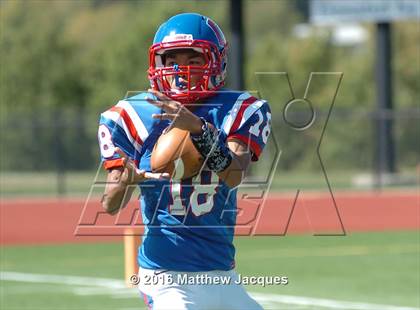 Thumbnail 1 in Nonnewaug @ Coginchaug Regional photogallery.