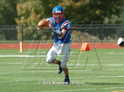 Thumbnail 3 in Nonnewaug @ Coginchaug Regional photogallery.