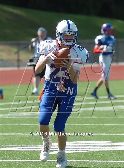 Thumbnail 1 in Nonnewaug @ Coginchaug Regional photogallery.