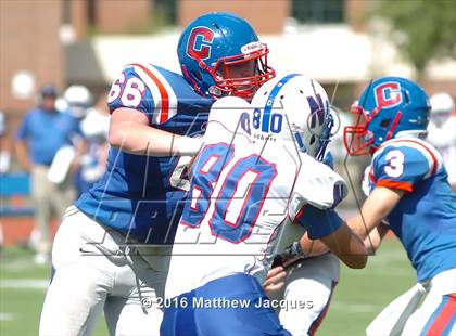 Thumbnail 1 in Nonnewaug @ Coginchaug Regional photogallery.