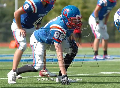 Thumbnail 1 in Nonnewaug @ Coginchaug Regional photogallery.