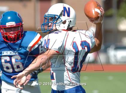 Thumbnail 1 in Nonnewaug @ Coginchaug Regional photogallery.
