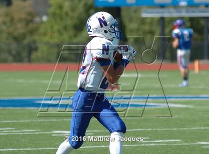 Thumbnail 3 in Nonnewaug @ Coginchaug Regional photogallery.