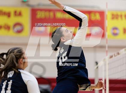 Thumbnail 2 in Widefield @ Coronado photogallery.