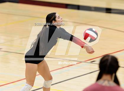 Thumbnail 3 in Widefield @ Coronado photogallery.