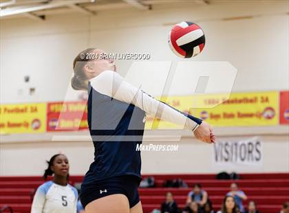 Thumbnail 1 in Widefield @ Coronado photogallery.