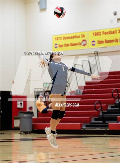 Thumbnail 3 in Widefield @ Coronado photogallery.