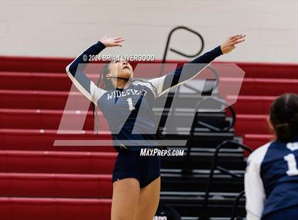 Thumbnail 3 in Widefield @ Coronado photogallery.