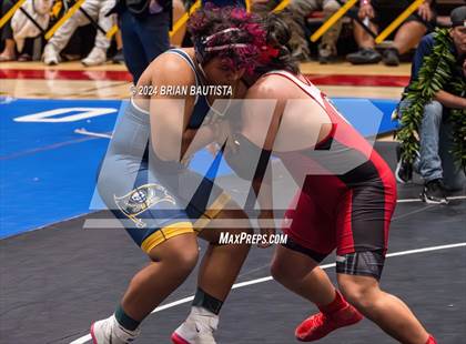 Thumbnail 1 in HHSAA State Championships photogallery.