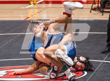 Thumbnail 1 in HHSAA State Championships photogallery.