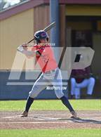Photo from the gallery "Campolindo vs. Cardinal Newman (CIF NCS Championship Semifinal)"