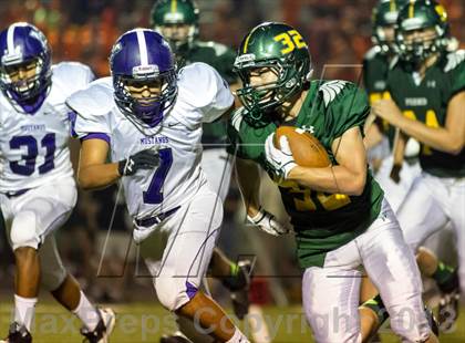 Thumbnail 1 in Rolling Meadows @ Fremd photogallery.