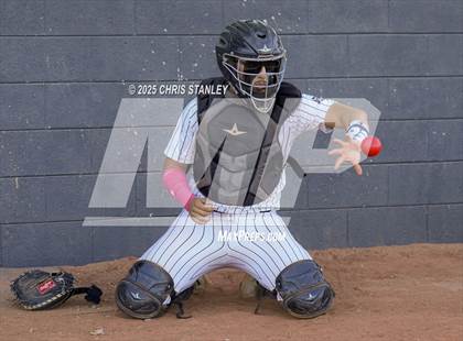 Thumbnail 3 in Cibola @ Youngker photogallery.