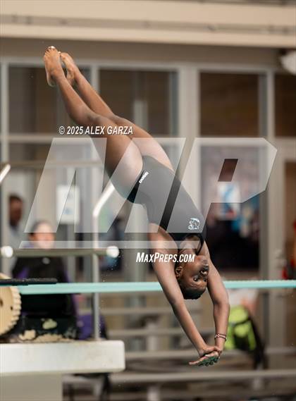 Thumbnail 2 in UIL 4A Diving Prelims <B>Mixed Genders</B> photogallery.
