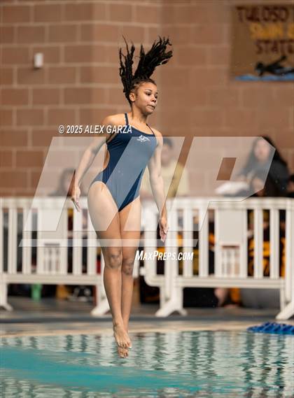 Thumbnail 2 in UIL 4A Diving Prelims <B>Mixed Genders</B> photogallery.