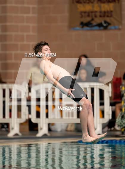 Thumbnail 2 in UIL 4A Diving Prelims <B>Mixed Genders</B> photogallery.