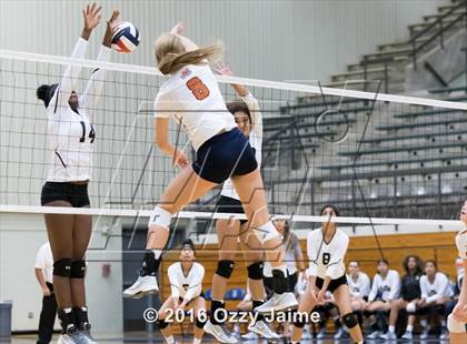Thumbnail 2 in Brennan vs. Madison photogallery.